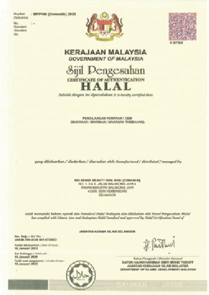 Masha Certification 4